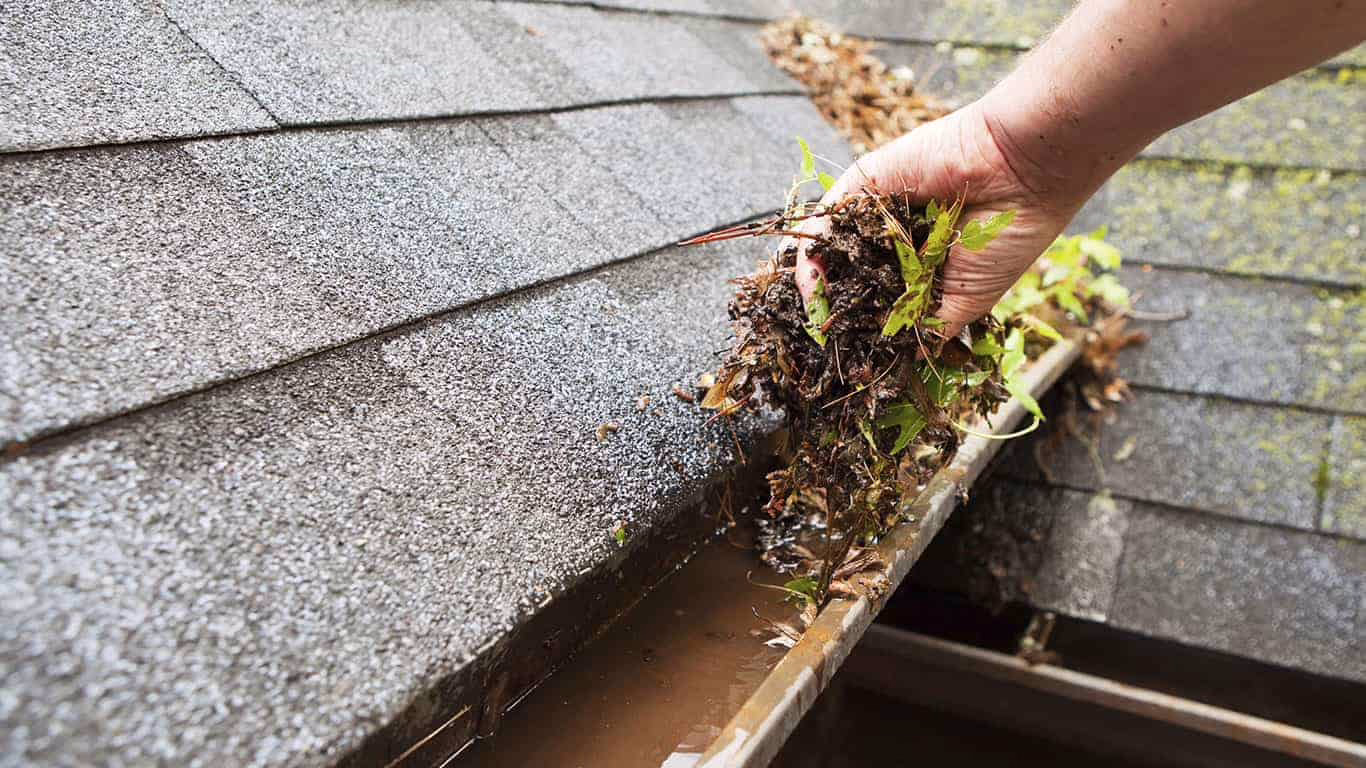 blocked gutters