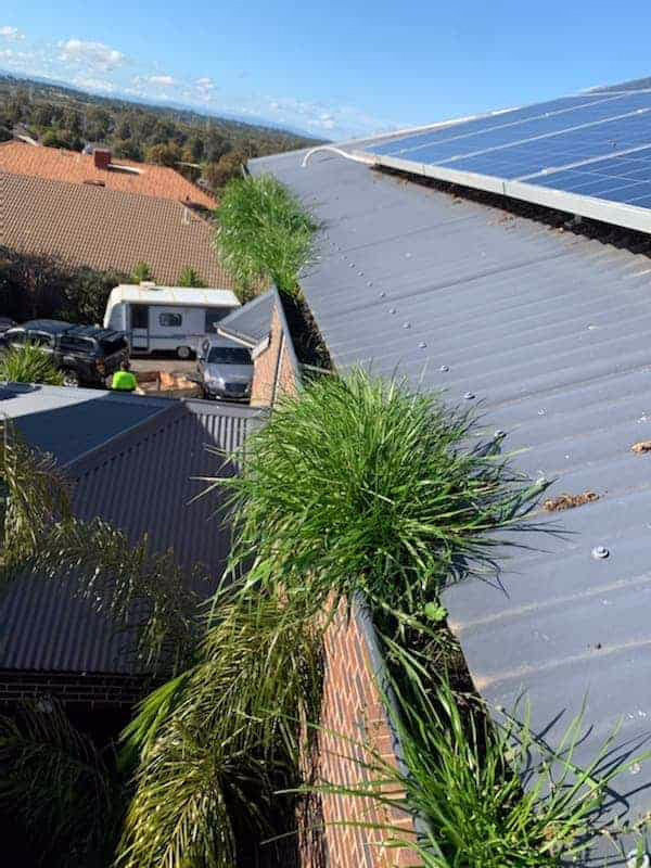 clogged gutters dirty gutters in coastal area