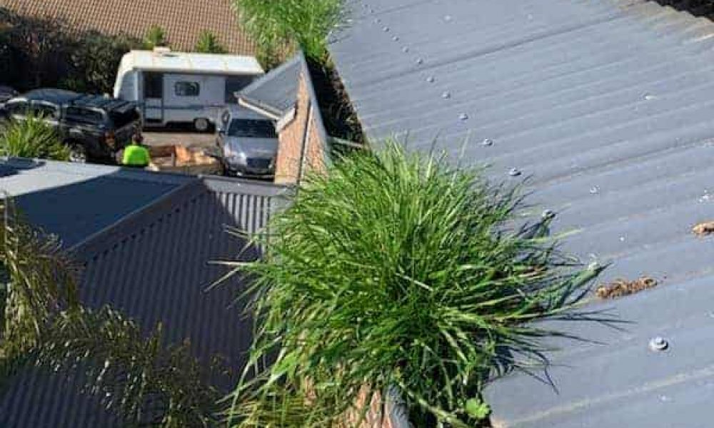 clogged gutters dirty gutters in coastal area