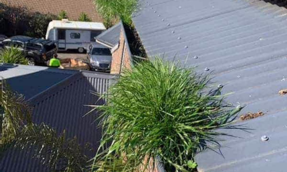 clogged gutters dirty gutters in coastal area